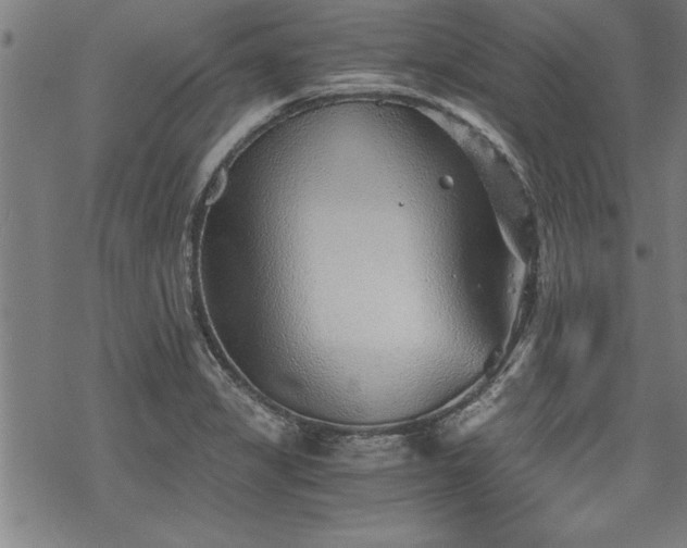 X0000069831325200605221157