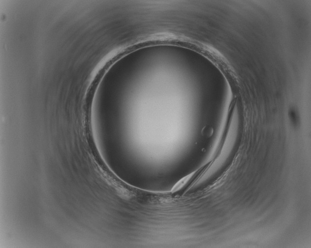 X0000069831326200605221157