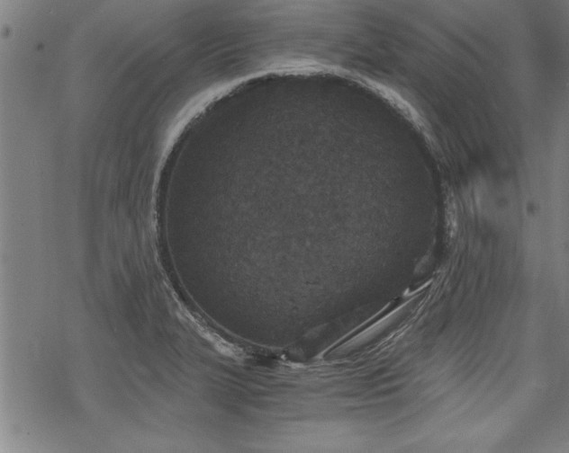 X0000069831327200605221157