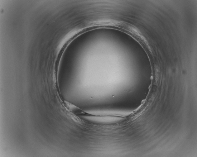 X0000069831328200605221157