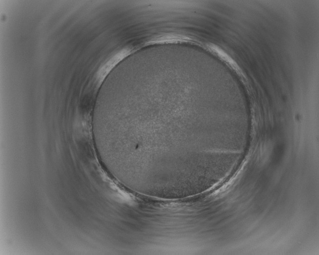 X0000069831329200605221157