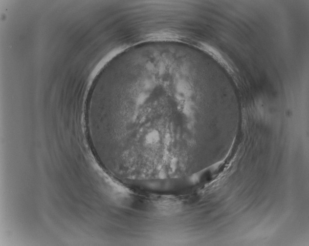 X0000069831331200605221157