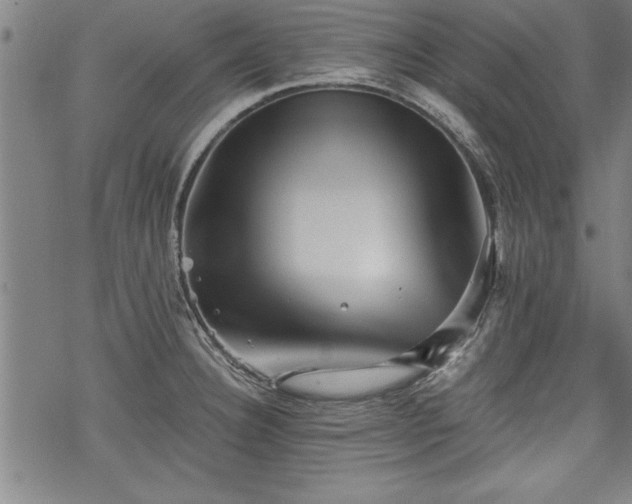 X0000069831332200605221157