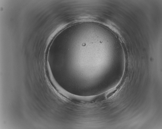 X0000069831333200605221157