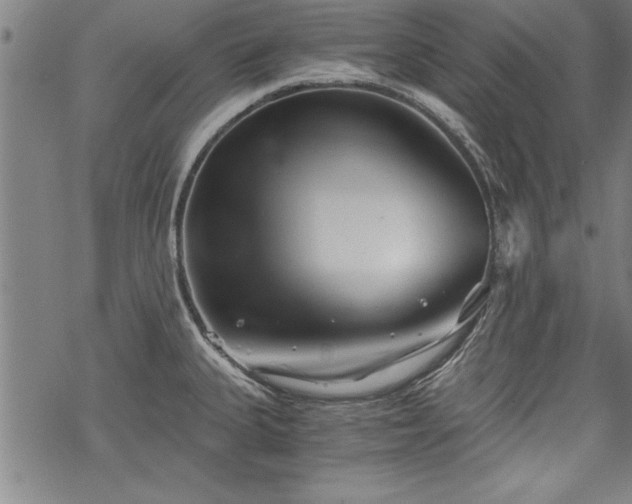 X0000069831335200605221157