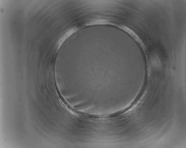 X0000069831337200605221157