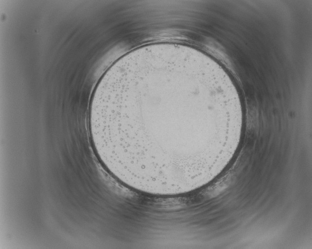 X0000069831338200605221157