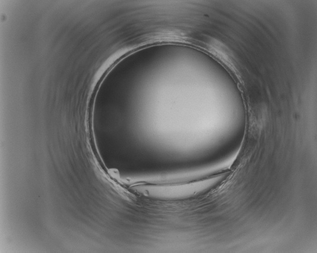 X0000069831339200605221157