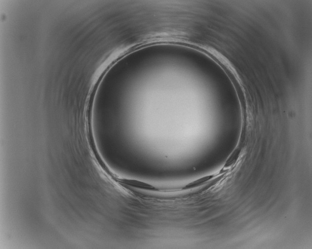 X0000069831341200605221157