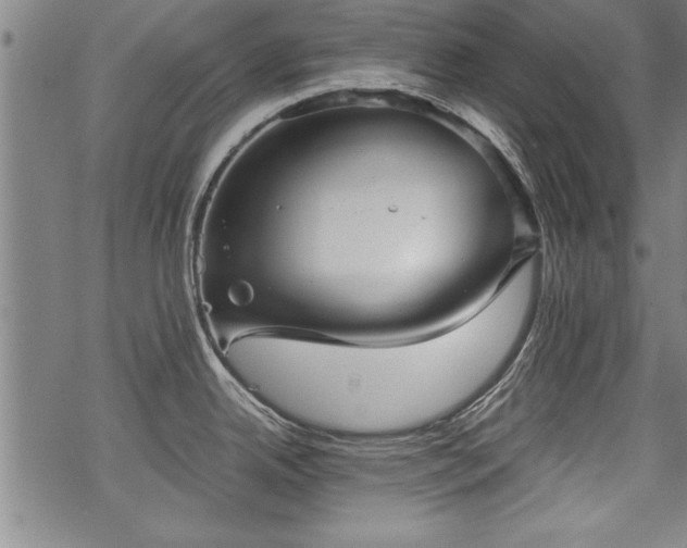 X0000069831342200605221157