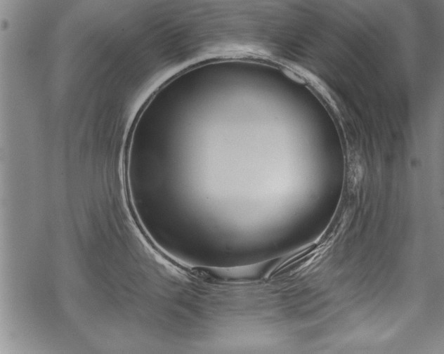 X0000069831343200605221157