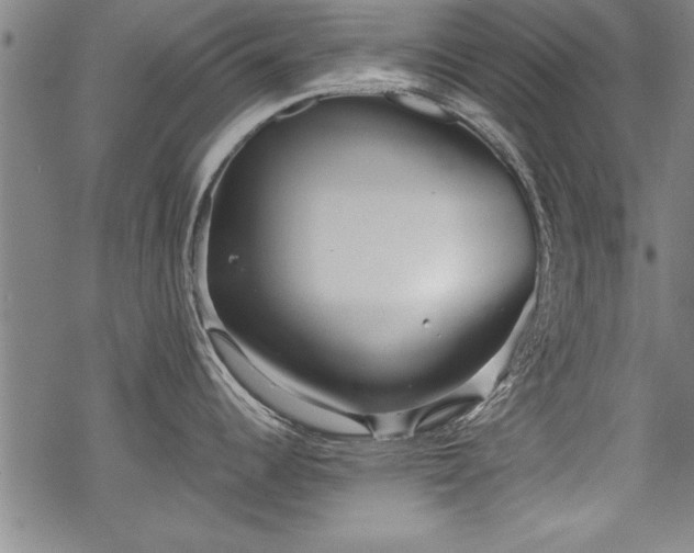 X0000069831344200605221157