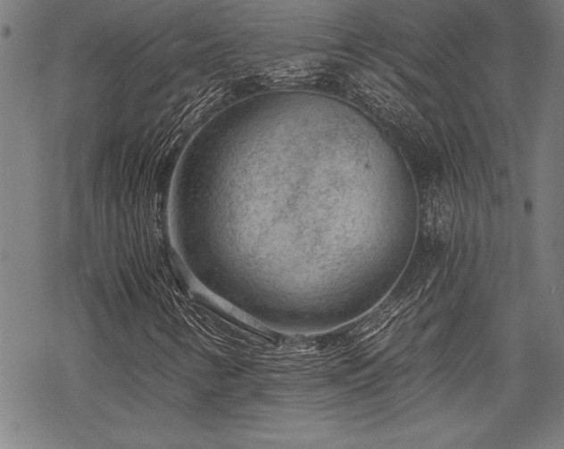 X0000069831346200605221156