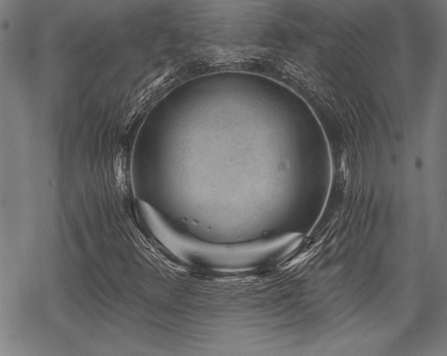 X0000069831348200605221156