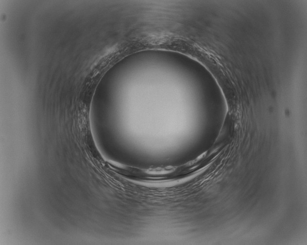 X0000069831349200605221156