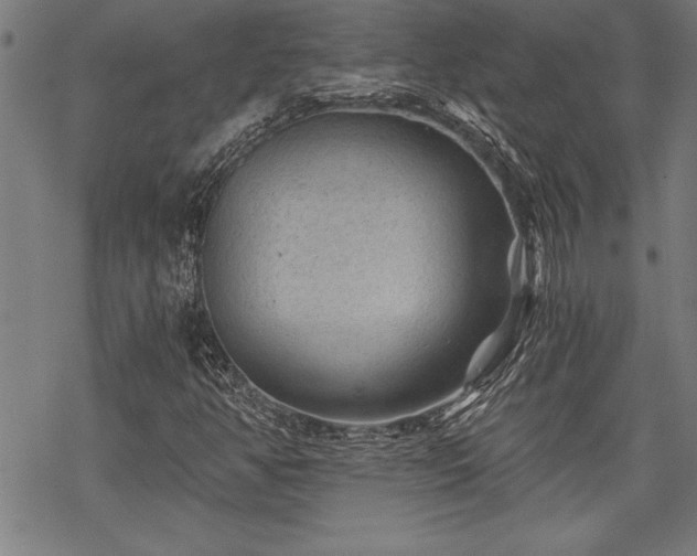 X0000069831350200605221156