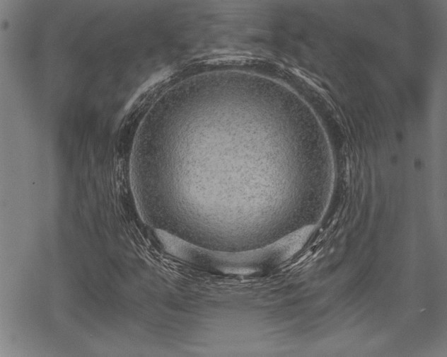 X0000069831351200605221156