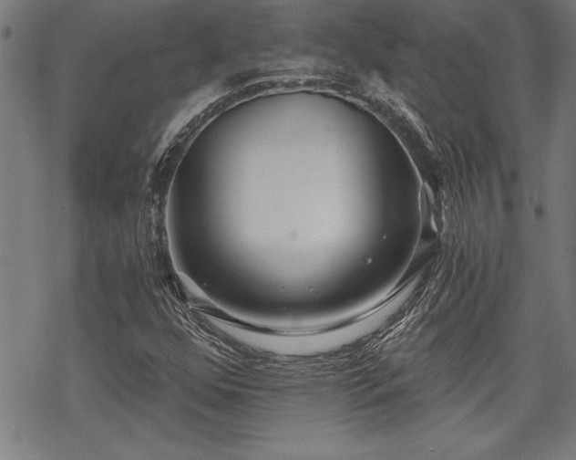 X0000069831352200605221156