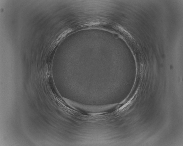 X0000069831353200605221156