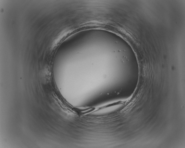 X0000069831355200605221156