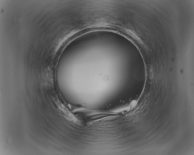 X0000069831356200605221156