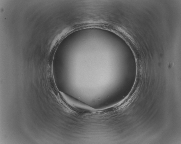 X0000069831357200605221156