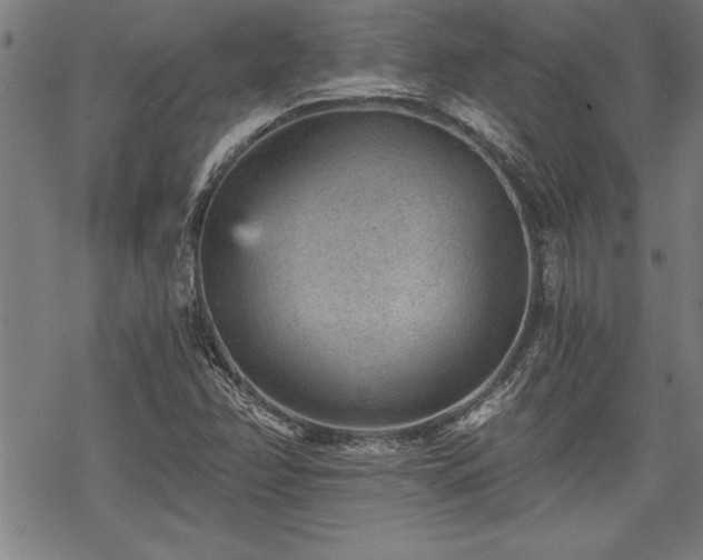 X0000069831358200605221156