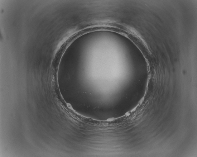 X0000069831360200605221156