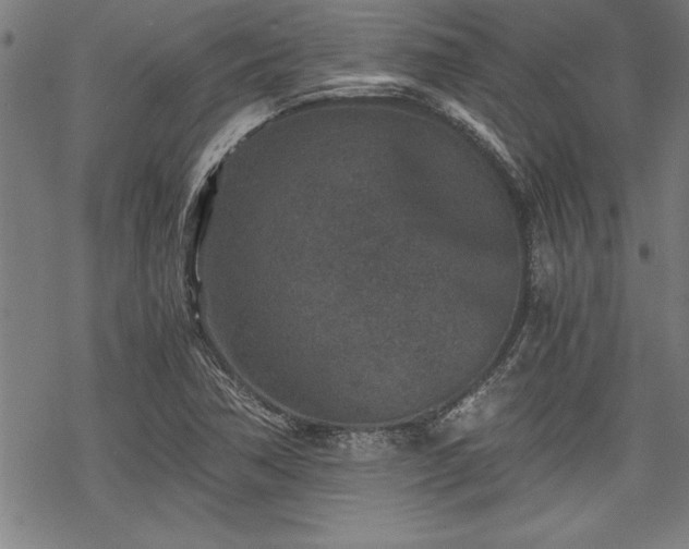 X0000069831362200605221156