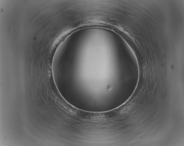 X0000069831363200605221156