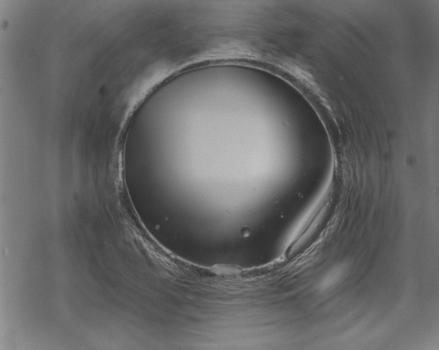 X0000069831366200605221156