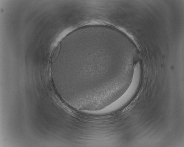 X0000069831367200605221156