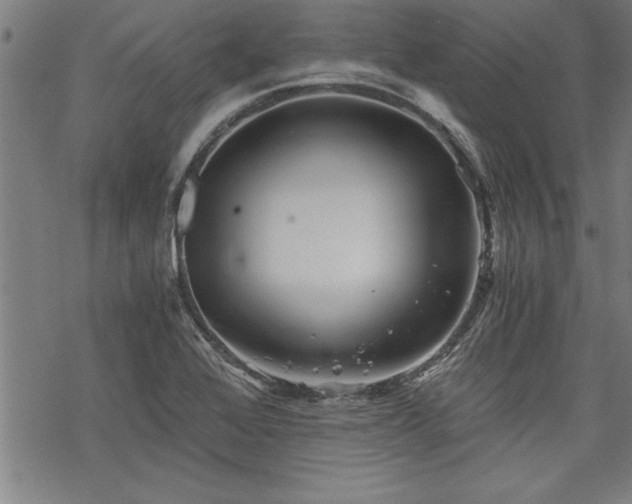 X0000069831368200605221156