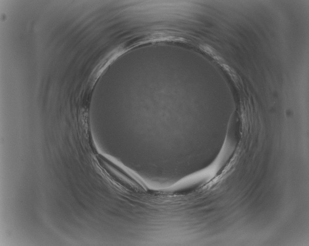 X0000069831369200605221156