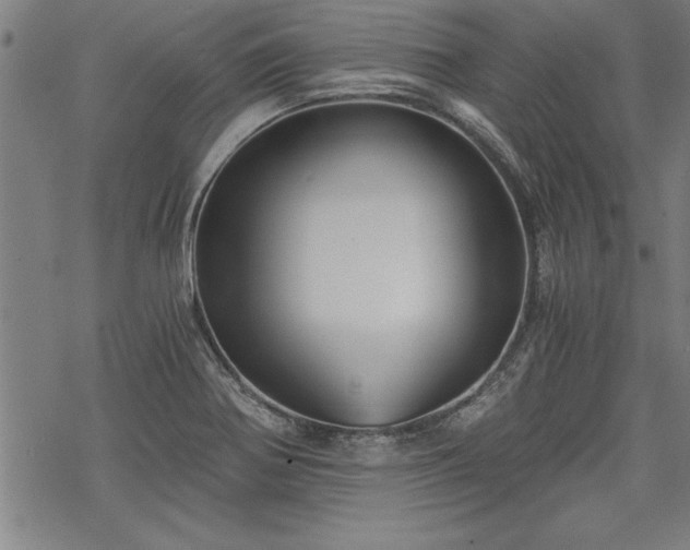 X0000069831370200605221156