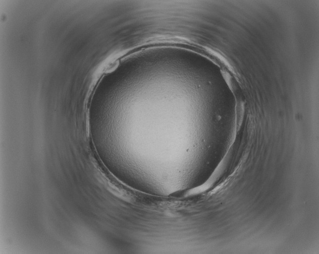 X0000069831371200605221156