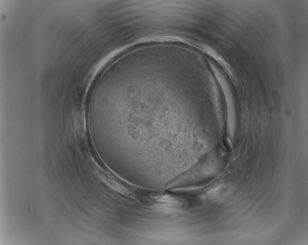 X0000069831372200605221156