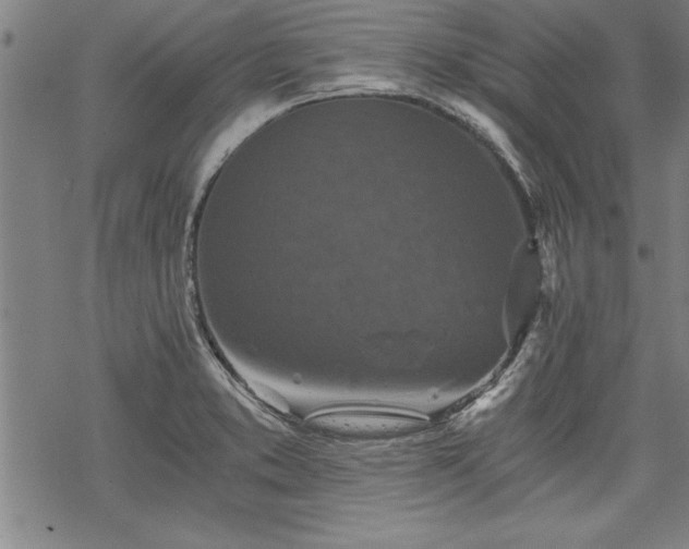 X0000069831373200605221156