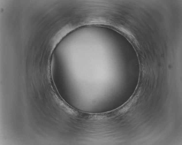 X0000069831374200605221156