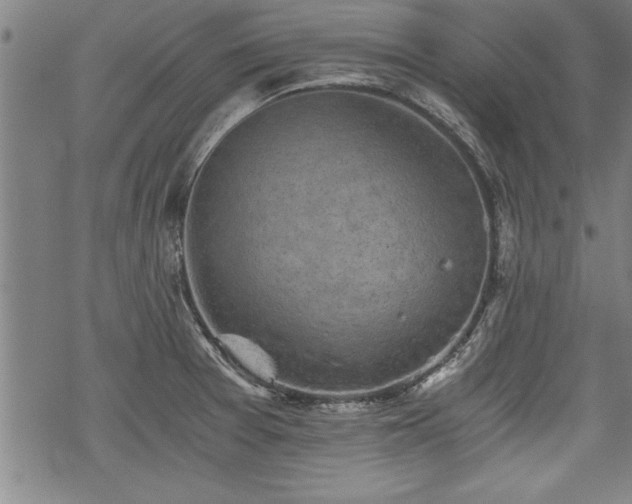 X0000069831377200605221156