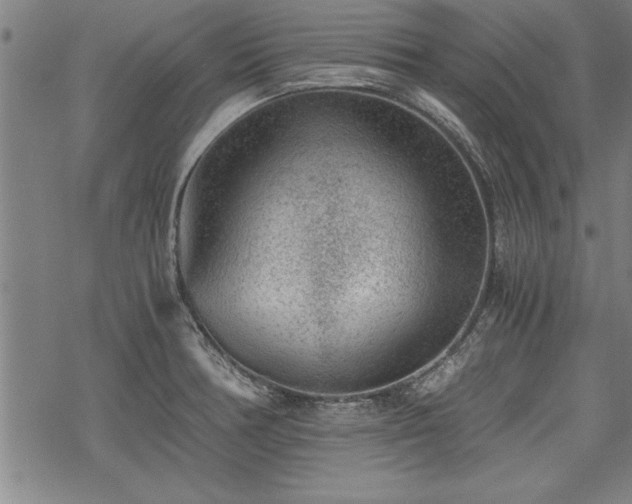 X0000069831378200605221156