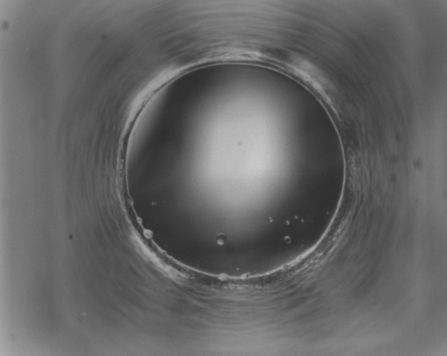 X0000069831379200605221156