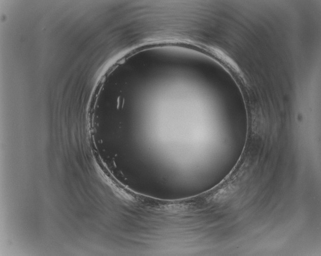 X0000069831380200605221156