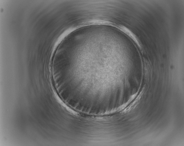 X0000069831381200605221156