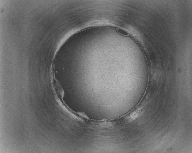 X0000069831382200605221156