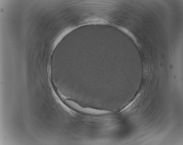 X0000069831383200605221156