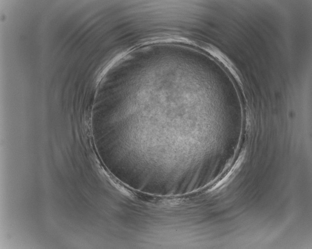 X0000069831385200605221156