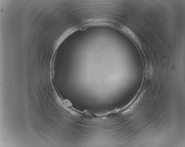 X0000069831386200605221156