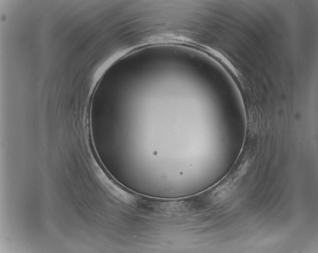 X0000069831387200605221156