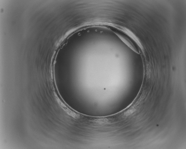 X0000069831388200605221156